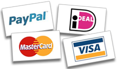 paypal paypal